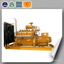 CE genehmigt High Efficiency Natural Gas Gengrator Set (200KW)